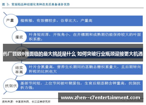 药厂晋级8强面临的最大挑战是什么 如何突破行业瓶颈迎接更大机遇