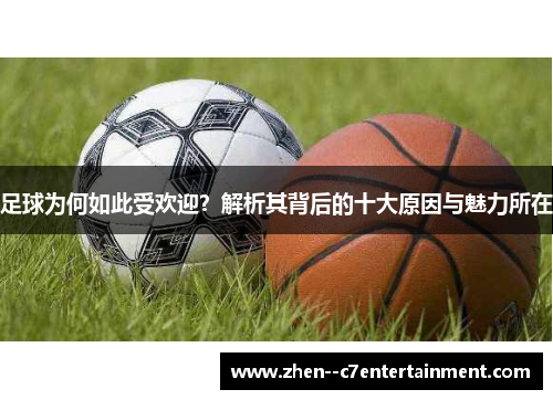 足球为何如此受欢迎？解析其背后的十大原因与魅力所在