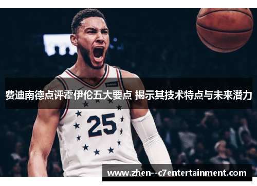 费迪南德点评霍伊伦五大要点 揭示其技术特点与未来潜力