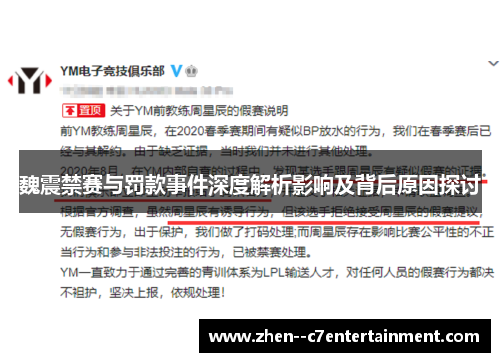 魏震禁赛与罚款事件深度解析影响及背后原因探讨