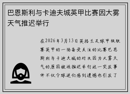 巴恩斯利与卡迪夫城英甲比赛因大雾天气推迟举行